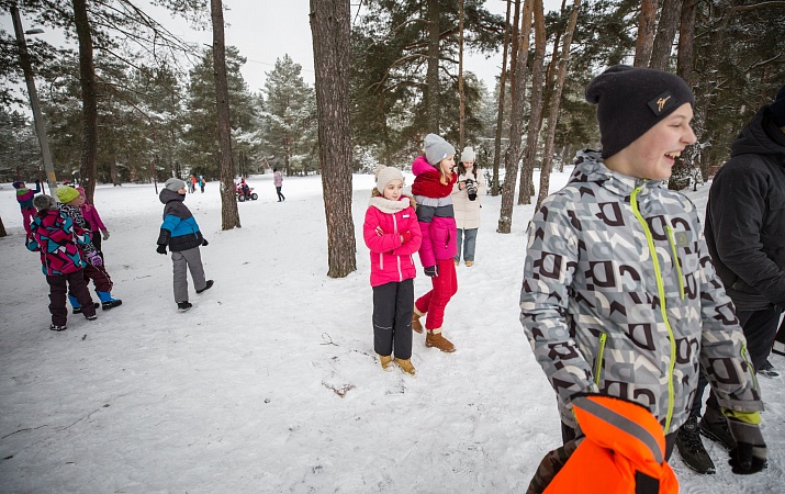 Последние зимние деньки
